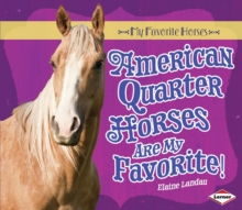 American Quarter Horses Are My Favorite!