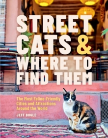 Street Cats & Where to Find Them : The Most Feline-Friendly Cities and Attractions Around the World