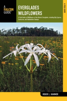 Everglades Wildflowers : A Field Guide to Wildflowers of the Historic Everglades, including Big Cypress, Corkscrew, and Fakahatchee Swamps, Paperback / softback Book Everglades Wildflowers : A Field Guide to Wildflowers of the Historic Everglades, including Big Cypress, Corkscrew, and Fakahatchee Swamps, Paperback / softback Book