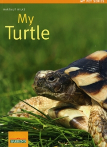My Turtle, Paperback / softback Book My Turtle, Paperback / softback Book