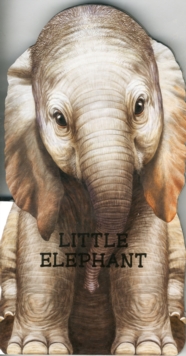 Little Elephant : Look at Me, Board book Book Little Elephant : Look at Me, Board book Book