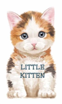 Little Kitten : Look at Me Books, Board book Book Little Kitten : Look at Me Books, Board book Book