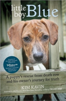 Little Boy Blue : A Puppy's Rescue from Death Row and His Owner's Journey for Truth, Paperback Book Little Boy Blue : A Puppy's Rescue from Death Row and His Owner's Journey for Truth, Paperback Book
