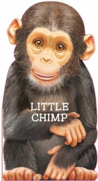 Little Chimp, Board book Book Little Chimp, Board book Book
