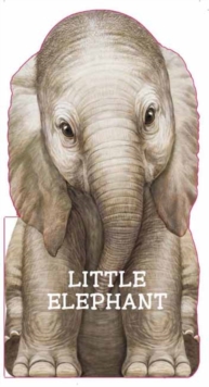 Little Elephant, Board book Book Little Elephant, Board book Book