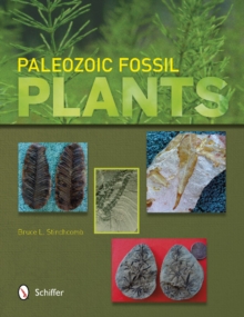 Paleozoic Fsil Plants, Paperback / softback Book Paleozoic Fsil Plants, Paperback / softback Book
