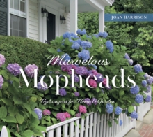 Marvelous Mopheads : Hydrangeas for Home & Garden