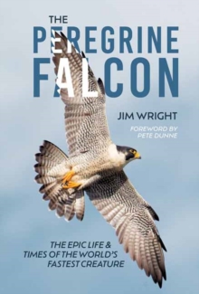 The Peregrine Falcon : The Epic Life and Times of the Worlds Fastest Creature
