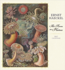 Ernst Haeckel : Art Forms in Nature 2017 Wall Calendar, Calendar Book Ernst Haeckel : Art Forms in Nature 2017 Wall Calendar, Calendar Book