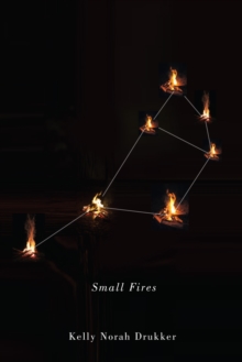 Small Fires, Paperback Book Small Fires, Paperback Book