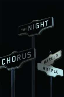 The Night Chorus, Paperback / softback Book The Night Chorus, Paperback / softback Book