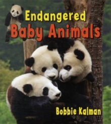 Endangered Baby Animals, Paperback Book Endangered Baby Animals, Paperback Book