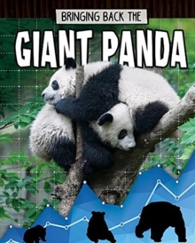 Giant Panda : Animals Back from the Brink