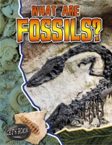 What are Fossils?, Paperback Book What are Fossils?, Paperback Book