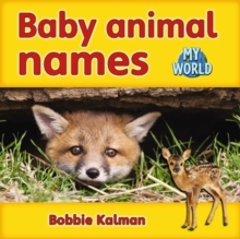 Baby animal names : Animals in My World