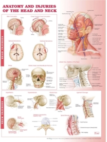 Anatomy and Injuries of the Head and Neck Anatomical Chart, Wallchart Book Anatomy and Injuries of the Head and Neck Anatomical Chart, Wallchart Book