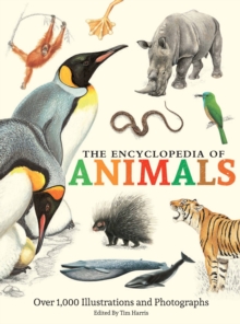 The Encyclopedia of Animals : More than 1,000 Illustrations and Photographs, Hardback Book The Encyclopedia of Animals : More than 1,000 Illustrations and Photographs, Hardback Book