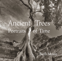 Ancient Trees : Portraits of Time