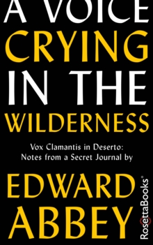 A Voice Crying in the Wilderness : Vox Clamantis in Deserto: Notes from a Secret Journal