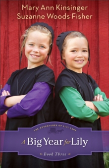 A Big Year for Lily, Paperback / softback Book A Big Year for Lily, Paperback / softback Book