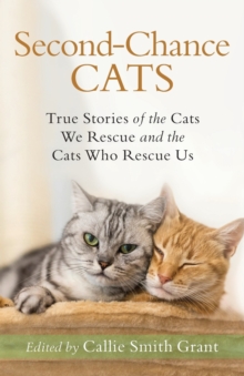 Second-Chance Cats - True Stories of the Cats We Rescue and the Cats Who Rescue Us