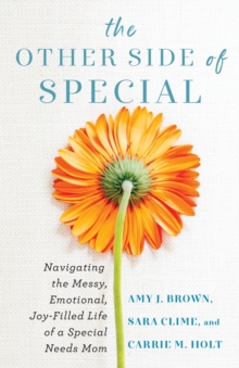 The Other Side of Special - Navigating the Messy, Emotional, Joy-Filled Life of a Special Needs Mom