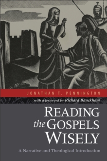Reading the Gospels Wisely - A Narrative and Theological Introduction