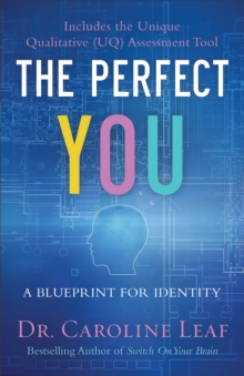 The Perfect You - A Blueprint For Identity