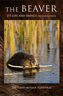 The Beaver : Natural History of a Wetlands Engineer