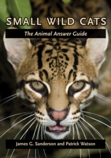 Small Wild Cats : The Animal Answer Guide, Hardback Book Small Wild Cats : The Animal Answer Guide, Hardback Book