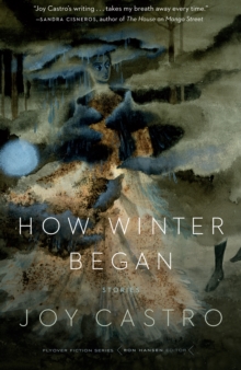 How Winter Began : Stories