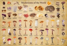 Mushrooms of the World - 1000 Piece Jigsaw Puzzle : for Adults and Families - Finished Puzzle Size 29 x 20 inch (74 x 51 cm); A3 Sized Poster