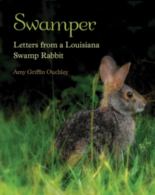 Swamper : Letters from a Louisiana Swamp Rabbit