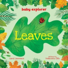 Leaves, Board book Book Leaves, Board book Book