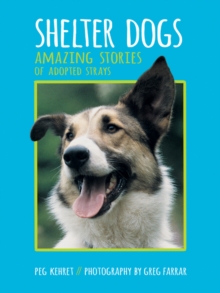 Shelter Dogs : Amazing Stories of Adopted Strays, Paperback / softback Book Shelter Dogs : Amazing Stories of Adopted Strays, Paperback / softback Book