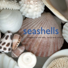 Seashells, Hardback Book Seashells, Hardback Book
