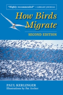 How Birds Migrate