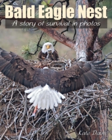 Bald Eagle Nest : A Story of Survival in Photos