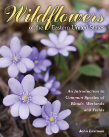 Wildflowers of the Eastern United States : An Introduction to Common Species of Woods, Wetlands and Fields