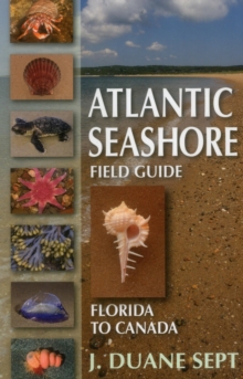 Atlantic Seashore Field Guide : Florida to Canada