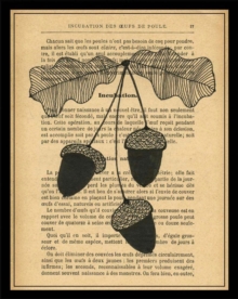 Notecards: Le Foret, Cards Book Notecards: Le Foret, Cards Book
