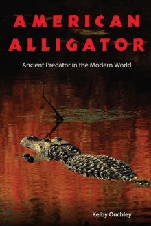 American Alligator : Ancient Predator in the Modern World