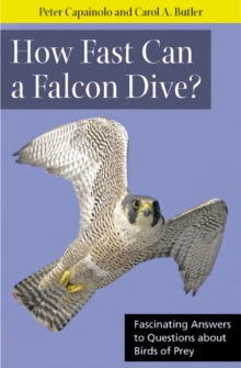 How Fast Can A Falcon Dive? : Fascinating Answers to Questions about Birds of Prey, Paperback / softback Book How Fast Can A Falcon Dive? : Fascinating Answers to Questions about Birds of Prey, Paperback / softback Book