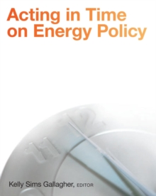 Acting in Time on Energy Policy