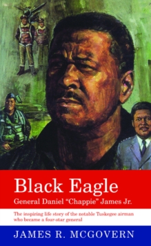 Black Eagle : General Daniel "Chappie" James Jr.