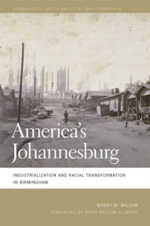 America's Johannesburg : Industrialization and Racial Transformation in Birmingham