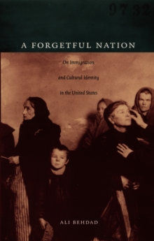 A Forgetful Nation : On Immigration and Cultural Identity in the United States, Hardback Book A Forgetful Nation : On Immigration and Cultural Identity in the United States, Hardback Book