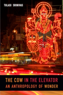 The Cow in the Elevator : An Anthropology of Wonder, Paperback / softback Book The Cow in the Elevator : An Anthropology of Wonder, Paperback / softback Book