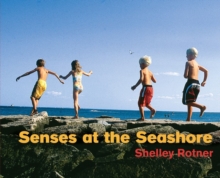 Senses at the Seashore