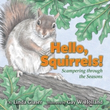 Hello, Squirrels! : Scampering through the Seasons